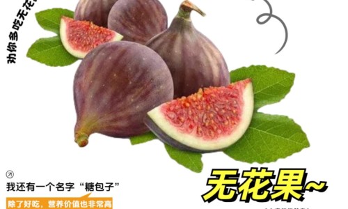 桑枝的功能主治-桑枝的性味功效的禁忌网 | 桑枝的功效与作用点,桑枝的药性